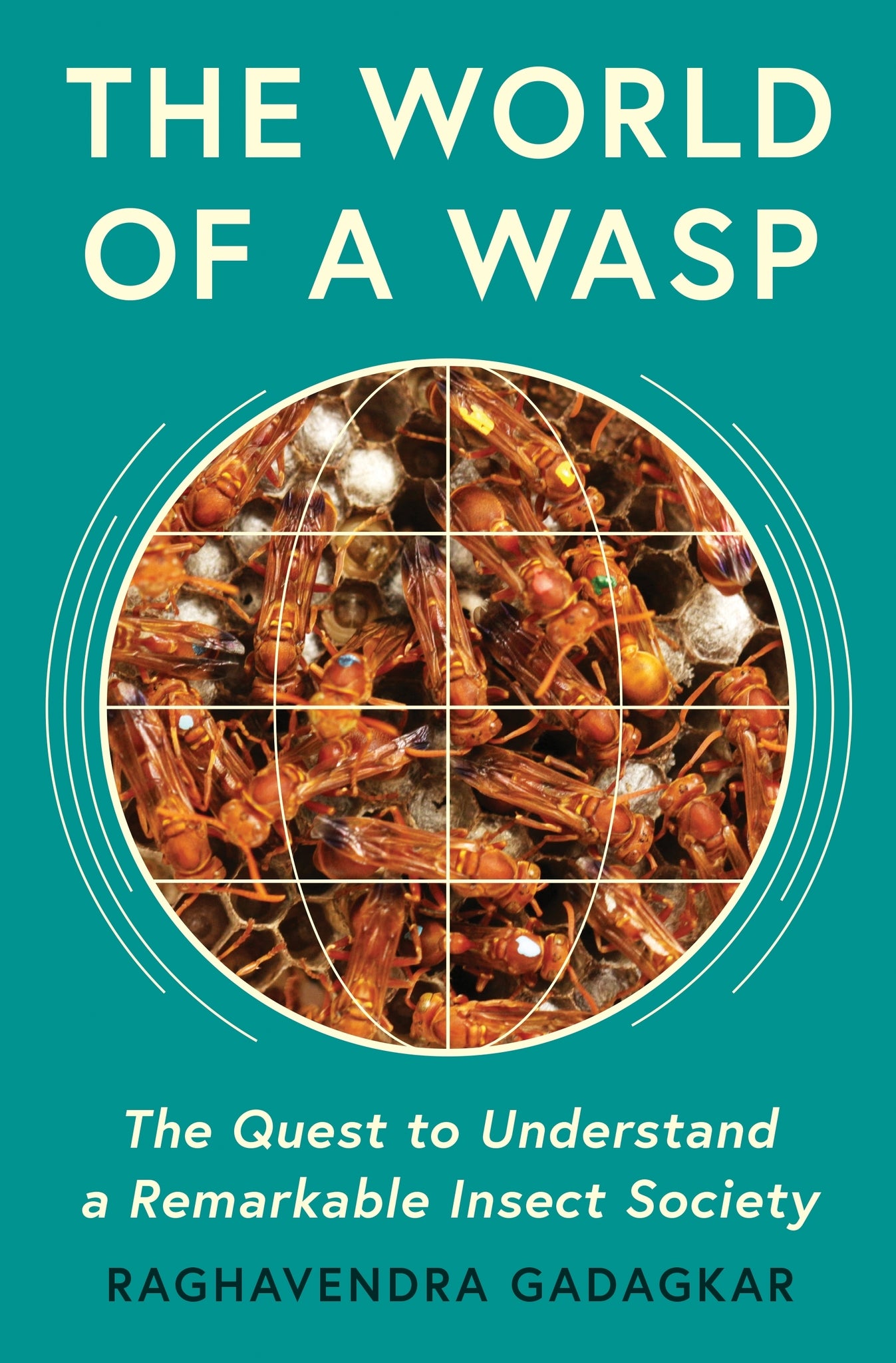 The World of a Wasp